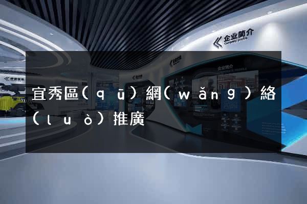 宜秀區(qū)網(wǎng)絡(luò)推廣