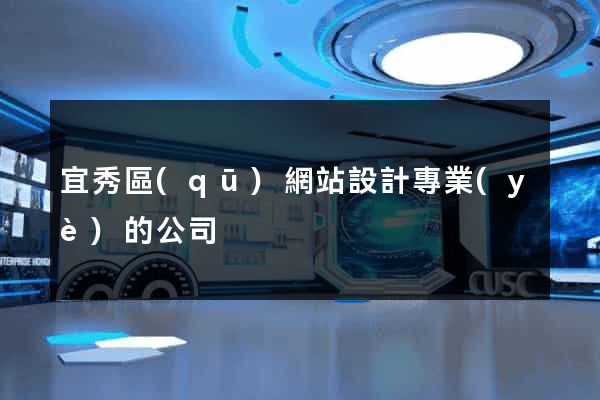 宜秀區(qū)網站設計專業(yè)的公司