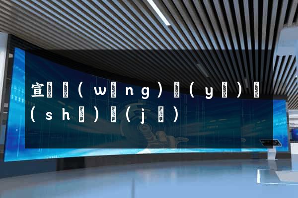 宣傳網(wǎng)頁(yè)設(shè)計(jì)