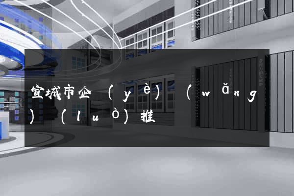 宣城市企業(yè)網(wǎng)絡(luò)推廣