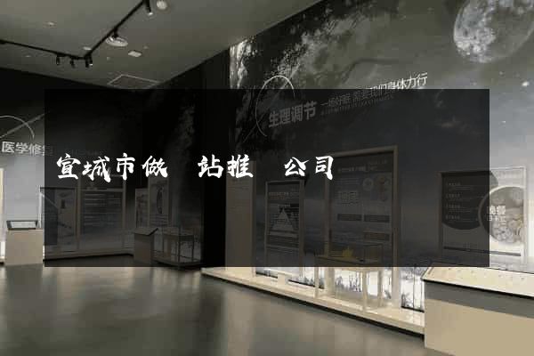 宣城市做網站推廣公司