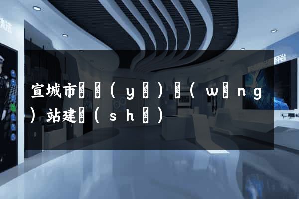 宣城市專業(yè)網(wǎng)站建設(shè)