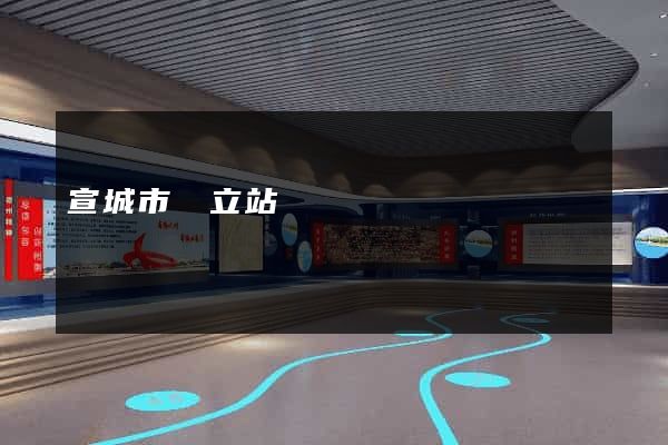 宣城市獨立站運營