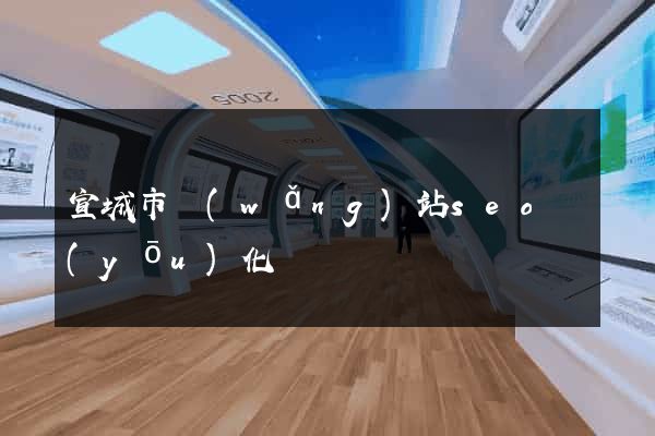 宣城市網(wǎng)站seo優(yōu)化