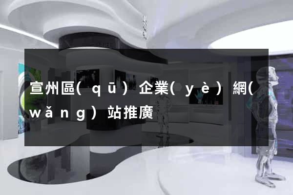 宣州區(qū)企業(yè)網(wǎng)站推廣