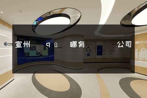 宣州區(qū)哪有網頁設計公司