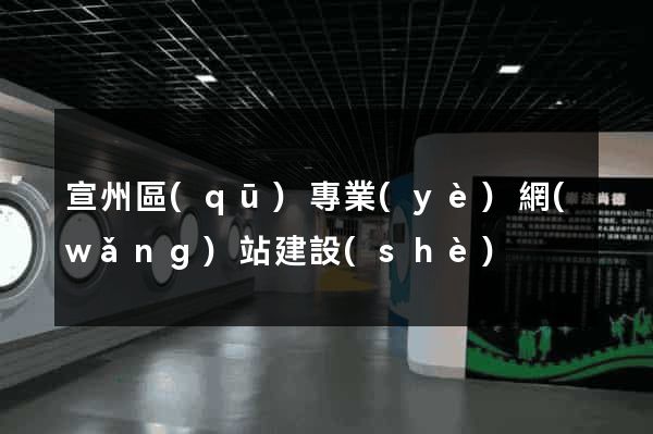 宣州區(qū)專業(yè)網(wǎng)站建設(shè)