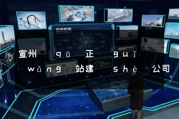 宣州區(qū)正規(guī)網(wǎng)站建設(shè)公司