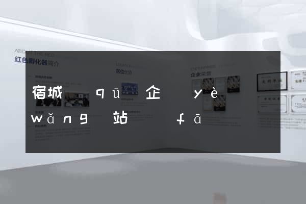 宿城區(qū)企業(yè)網(wǎng)站開發(fā)