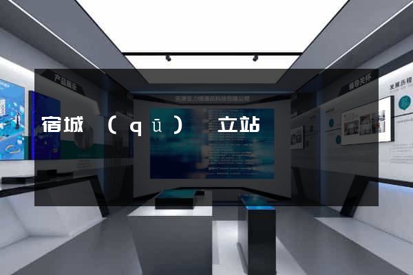 宿城區(qū)獨立站運營
