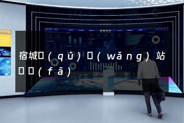 宿城區(qū)網(wǎng)站開發(fā)