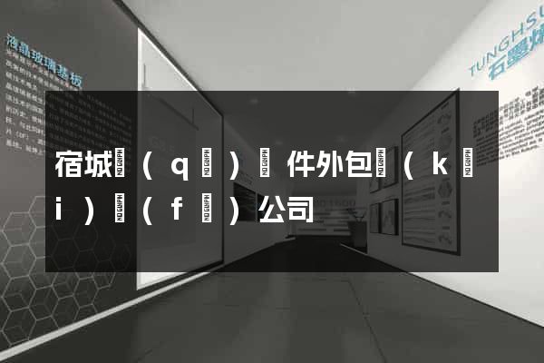 宿城區(qū)軟件外包開(kāi)發(fā)公司