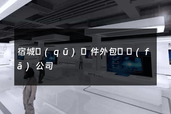 宿城區(qū)軟件外包開發(fā)公司