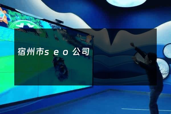 宿州市seo公司