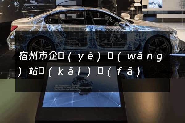 宿州市企業(yè)網(wǎng)站開(kāi)發(fā)
