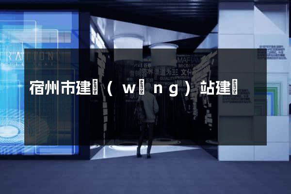 宿州市建網(wǎng)站建設