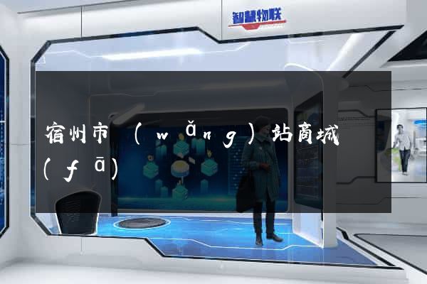 宿州市網(wǎng)站商城開發(fā)