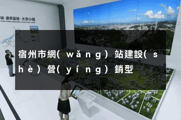 宿州市網(wǎng)站建設(shè)營(yíng)銷型