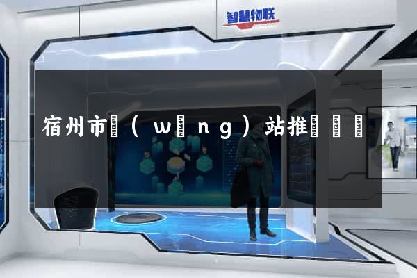 宿州市網(wǎng)站推廣營銷