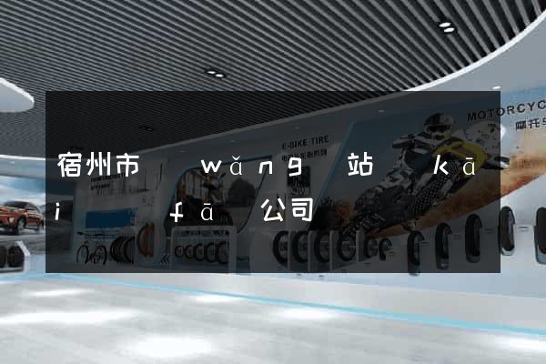 宿州市網(wǎng)站開(kāi)發(fā)公司