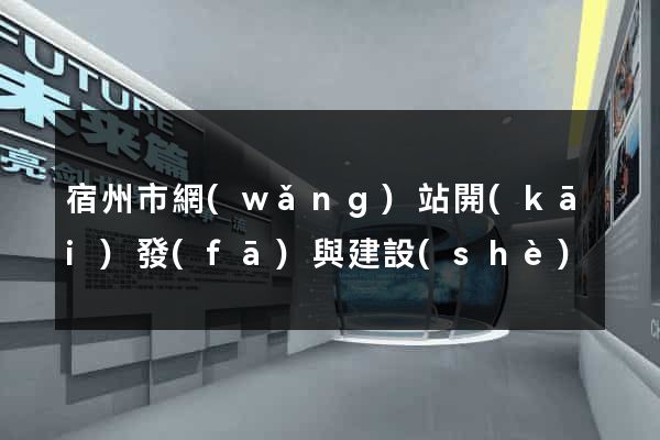 宿州市網(wǎng)站開(kāi)發(fā)與建設(shè)