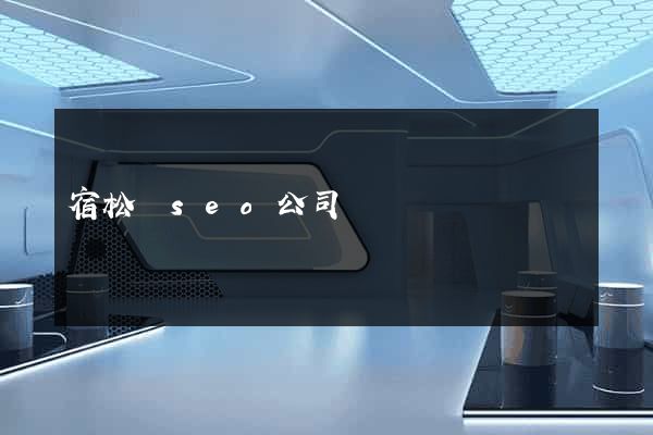 宿松縣seo公司