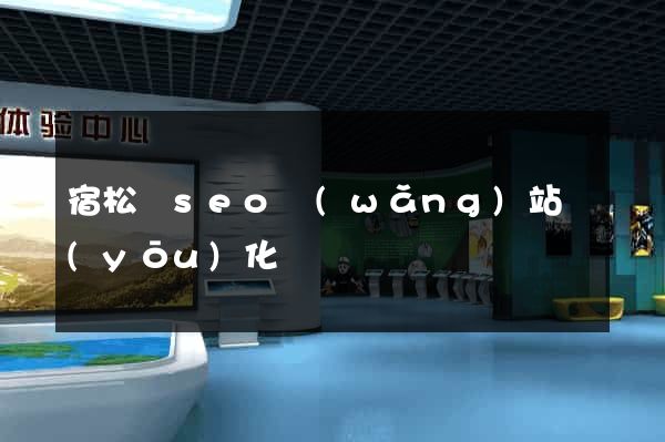 宿松縣seo網(wǎng)站優(yōu)化