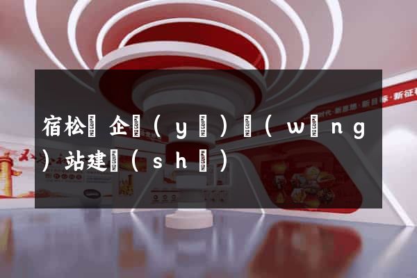 宿松縣企業(yè)網(wǎng)站建設(shè)