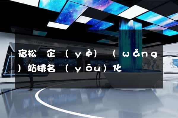 宿松縣企業(yè)網(wǎng)站排名優(yōu)化