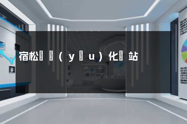 宿松縣優(yōu)化網站