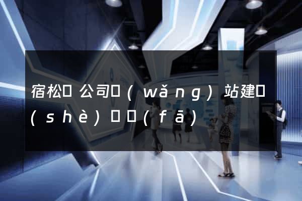 宿松縣公司網(wǎng)站建設(shè)開發(fā)