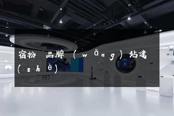 宿松縣品牌網(wǎng)站建設(shè)