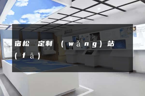 宿松縣定制網(wǎng)站開發(fā)