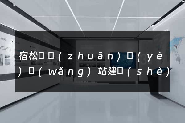 宿松縣專(zhuān)業(yè)網(wǎng)站建設(shè)