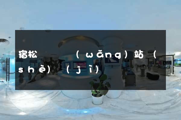 宿松縣營銷網(wǎng)站設(shè)計(jì)