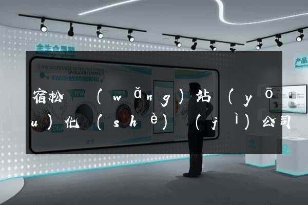 宿松縣網(wǎng)站優(yōu)化設(shè)計(jì)公司