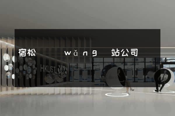 宿松縣網(wǎng)站公司