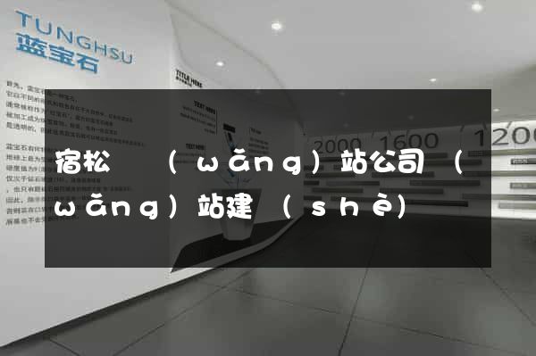 宿松縣網(wǎng)站公司網(wǎng)站建設(shè)