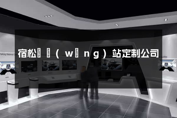 宿松縣網(wǎng)站定制公司