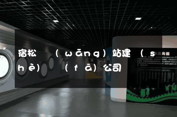 宿松縣網(wǎng)站建設(shè)開發(fā)公司