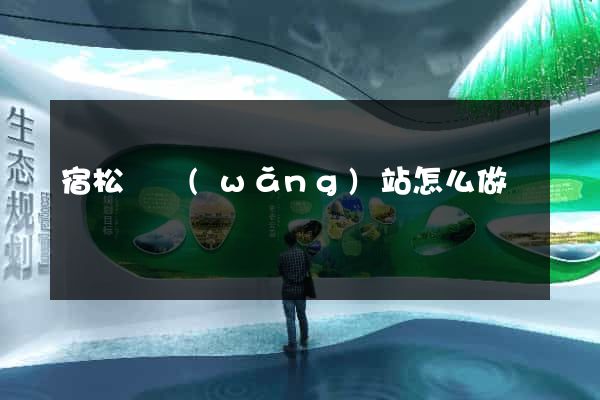 宿松縣網(wǎng)站怎么做