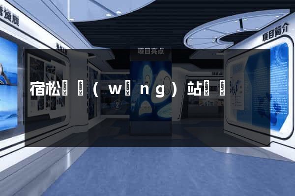 宿松縣網(wǎng)站營銷
