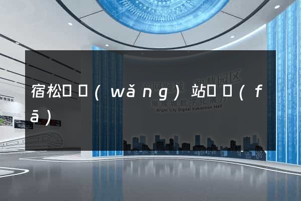 宿松縣網(wǎng)站開發(fā)