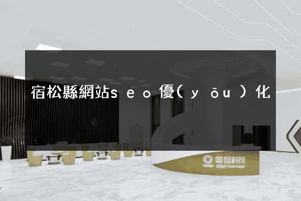 宿松縣網站seo優(yōu)化