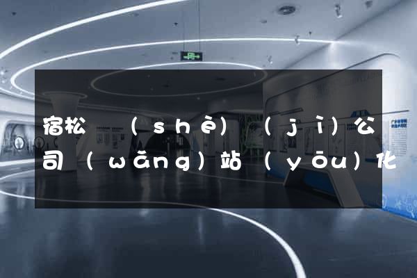 宿松縣設(shè)計(jì)公司網(wǎng)站優(yōu)化