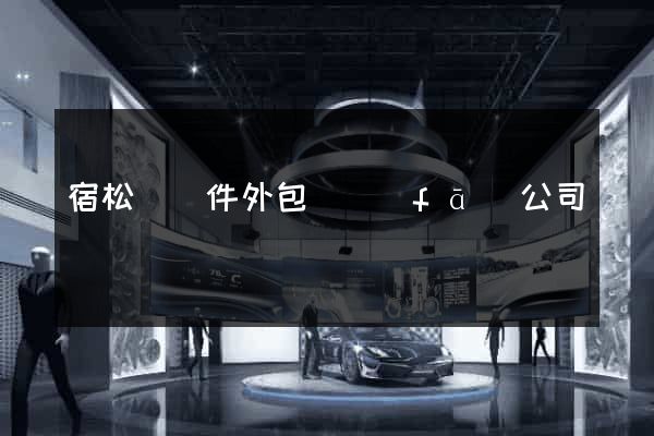 宿松縣軟件外包開發(fā)公司