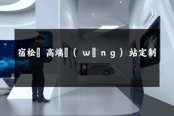 宿松縣高端網(wǎng)站定制