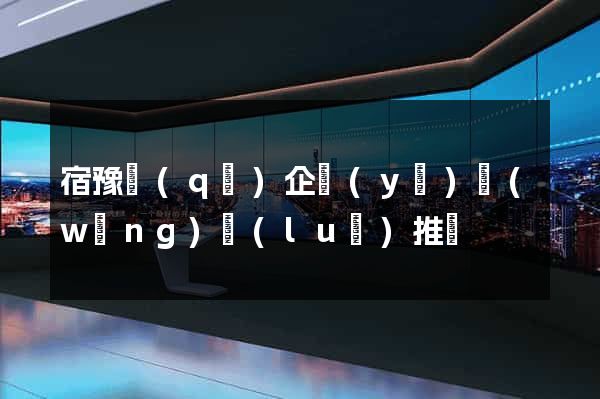 宿豫區(qū)企業(yè)網(wǎng)絡(luò)推廣