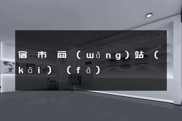 宿遷市電商網(wǎng)站開(kāi)發(fā)