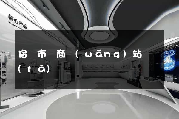 宿遷市電商網(wǎng)站開發(fā)
